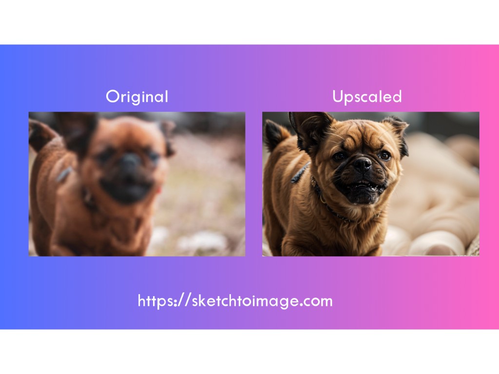 dogs-upscale-img